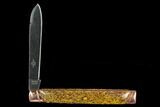 Folding Knife With Inlaid Fossiliferous Ironstone #127599-2
